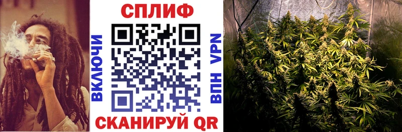 Где купить Жиздра ГАШ  Канабис  Альфа ПВП  МЕФ  Кокаин 
