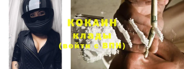 шишки Строитель