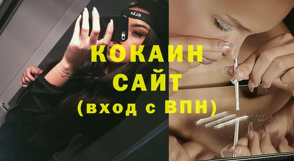 шишки Строитель