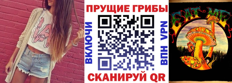 купить закладку  Жиздра  Псилоцибиновые грибы Cubensis 